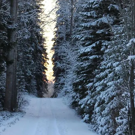 Albertiina Διαμέρισμα *