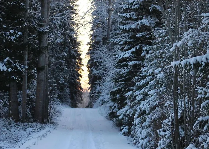 Albertiina Appartamento *